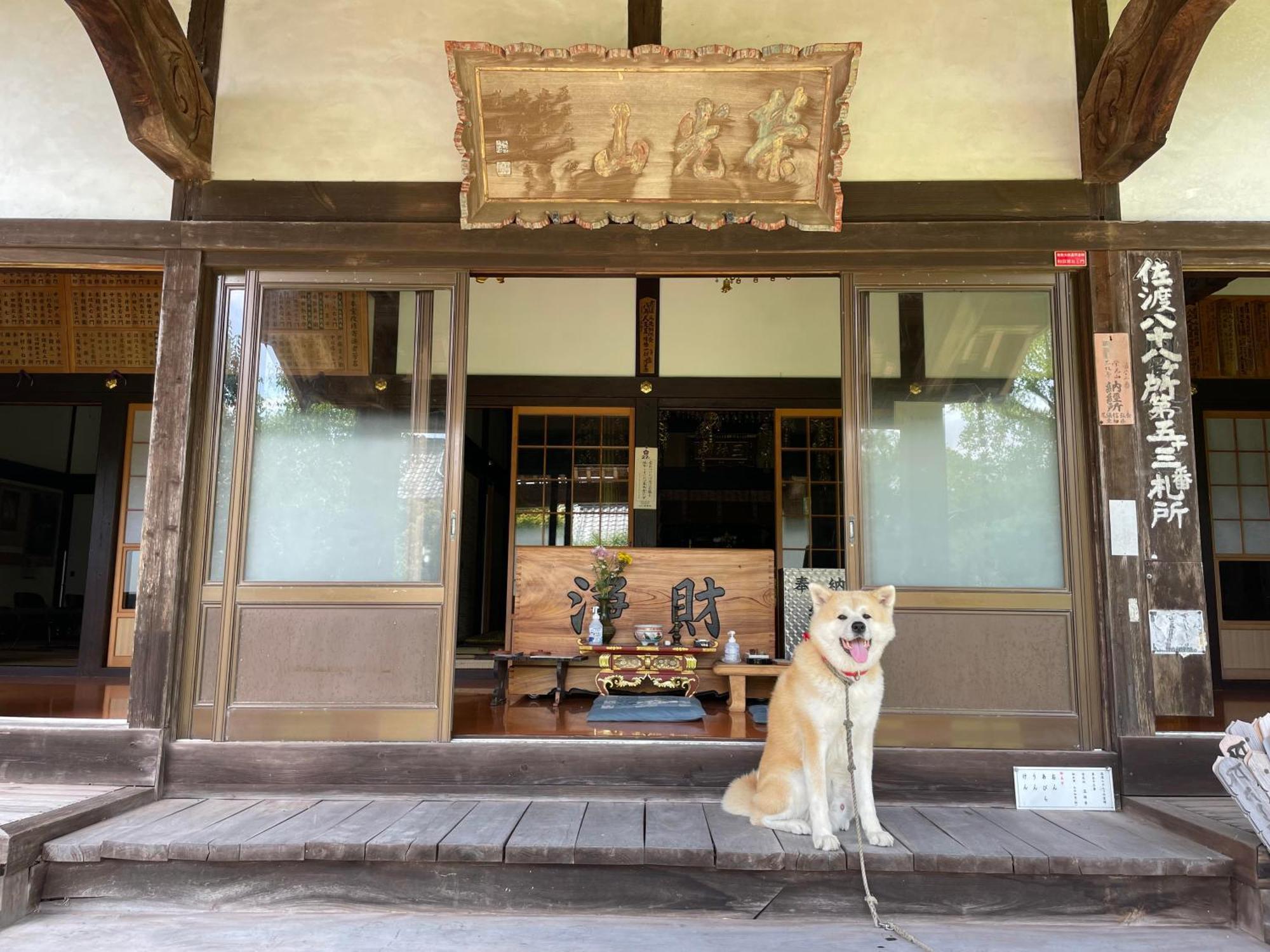 Temple Stay 玉林寺 Sado Екстериор снимка